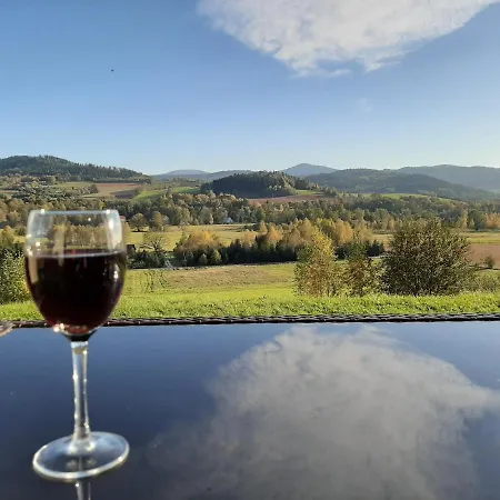 Winny W Radochowie Дом отдыха