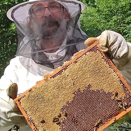 Winny W Radochowie * Лёндек-Здруй