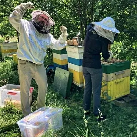 Winny W Radochowie * Лёндек-Здруй