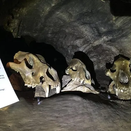 Дом отдыха Winny W Radochowie *