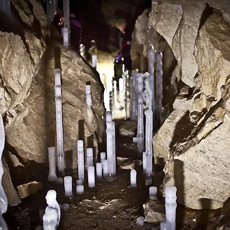 Дом отдыха Winny W Radochowie *