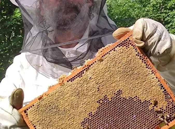 Winny W Radochowie * Lądek-Zdrój