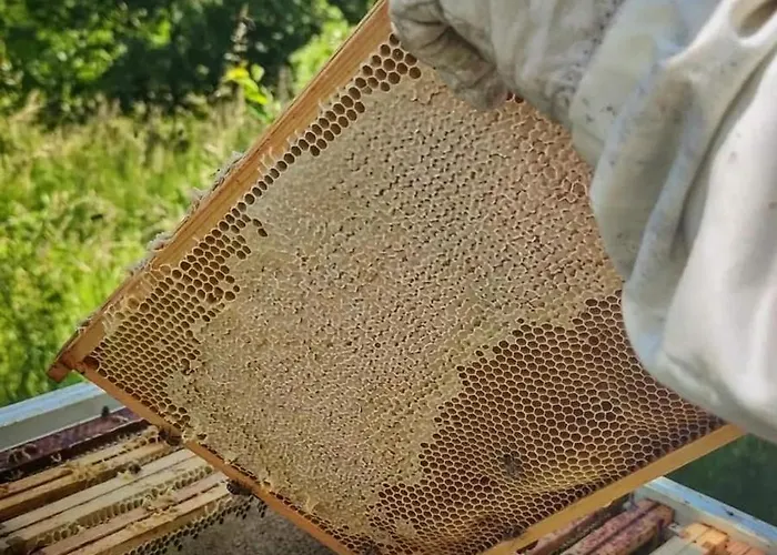 Winny W Radochowie 別荘 *