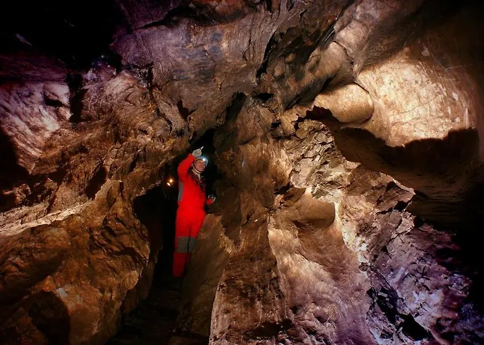 Winny W Radochowie Lądek-Zdrój