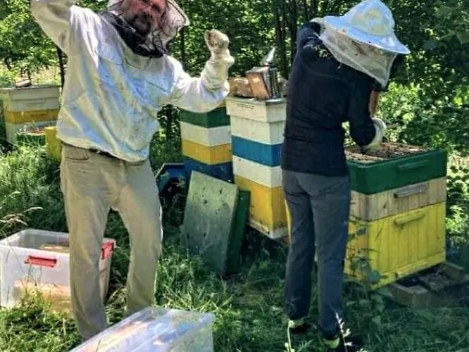 Winny W Radochowie * Lądek-Zdrój