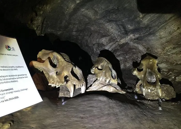 別荘 Winny W Radochowie *