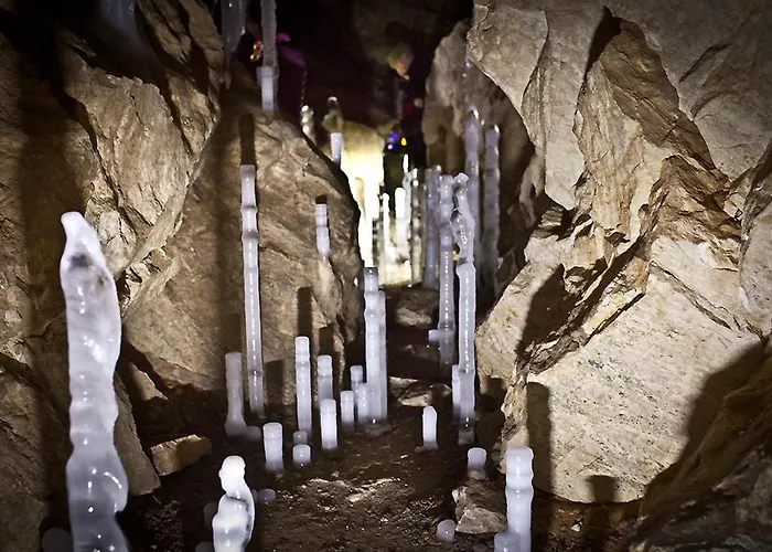 別荘 Winny W Radochowie *